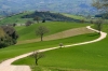 Geometri, il 22% è senza Rc professionale Geometri, il 22% è senza Rc professionale